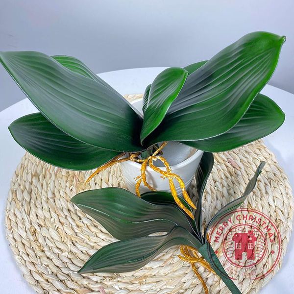 decorative flowers & wreaths simulation plants phalaenopsis leaf auxiliary material flower decoration orchid leaves micro landscape
decorative flowers & wreaths simulation plants phalaenopsis leaf auxiliary material flower decoration orchid leaves micro landscape