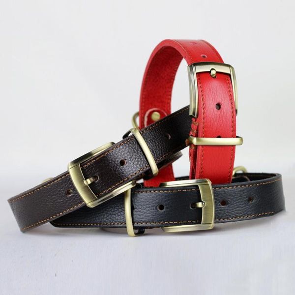 dog collars & leashes genuine leather collar small medium dogs pet products adjustable husky harness
dog collars & leashes genuine leather collar small medium dogs pet products adjustable husky harness