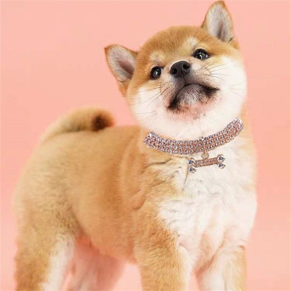 pet necklace adjustable cat and dog grooming supplies with three drainage diamond zircon bone jewelry luxury high-end collar
pet necklace adjustable cat and dog grooming supplies with three drainage diamond zircon bone jewelry luxury high-end collar