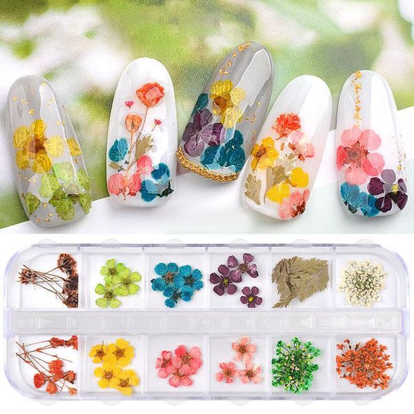 nail art decorations real pressed flower anne's lace dried resin jewelry making exquisite flowers 2021 fashion, Silver;gold
nail art decorations real pressed flower anne's lace dried resin jewelry making exquisite flowers 2021 fashion, Silver;gold