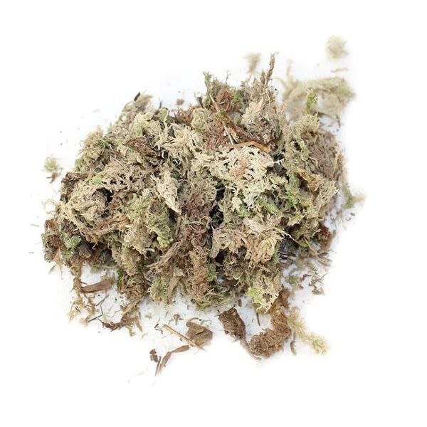 decorative flowers & wreaths 6l sphagnum moss nutrition organic fertilizer for orchid phalaenopsis musgo flower garden supplies
decorative flowers & wreaths 6l sphagnum moss nutrition organic fertilizer for orchid phalaenopsis musgo flower garden supplies