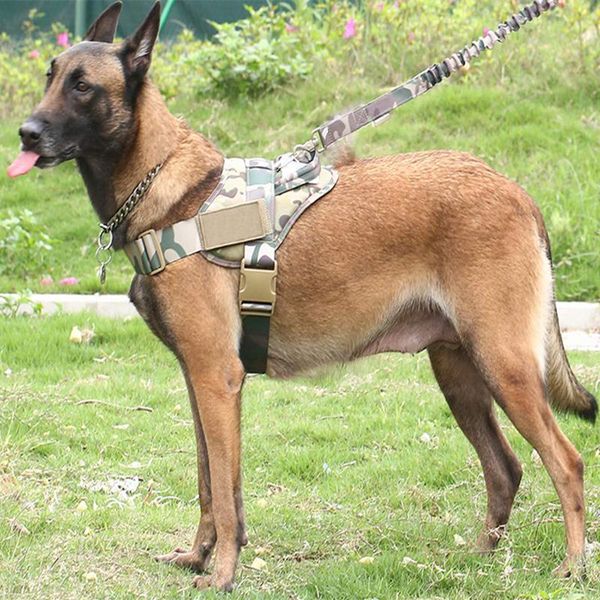 dog harness k9 walking adjustable nylon pet collar vest set bungee leash for german shepherd collars & leashes
dog harness k9 walking adjustable nylon pet collar vest set bungee leash for german shepherd collars & leashes