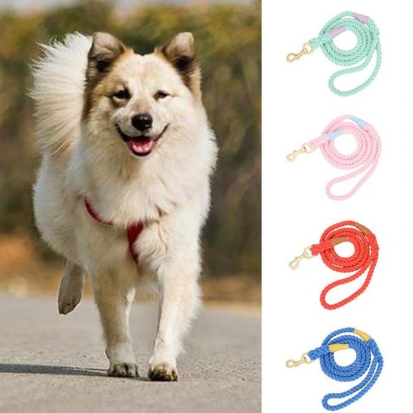 dog collars & leashes training slip lead strap pet leash solid color bite resistant woven dogs traction rope webbing recall
dog collars & leashes training slip lead strap pet leash solid color bite resistant woven dogs traction rope webbing recall