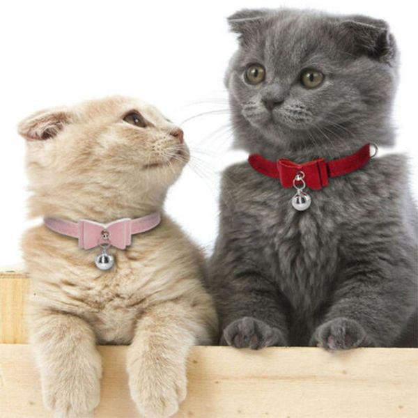 pets accessaries flocking bow collars with bell adjustable solid color for puppy dogs cats kitten pet supplies cat & leads
pets accessaries flocking bow collars with bell adjustable solid color for puppy dogs cats kitten pet supplies cat & leads