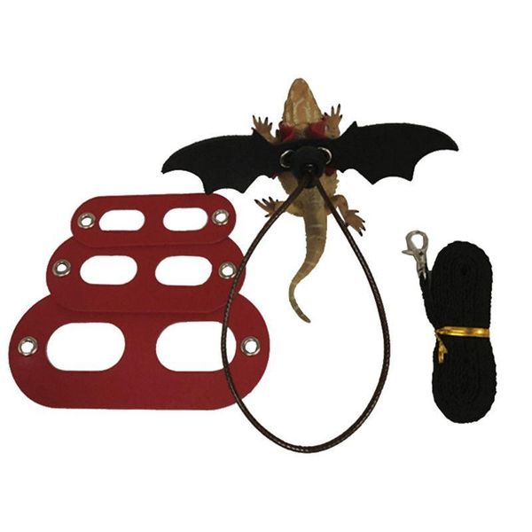 dog collars & leashes lizard traction rope reptile bearded dragon harness leather leash with wing pxpc
dog collars & leashes lizard traction rope reptile bearded dragon harness leather leash with wing pxpc
