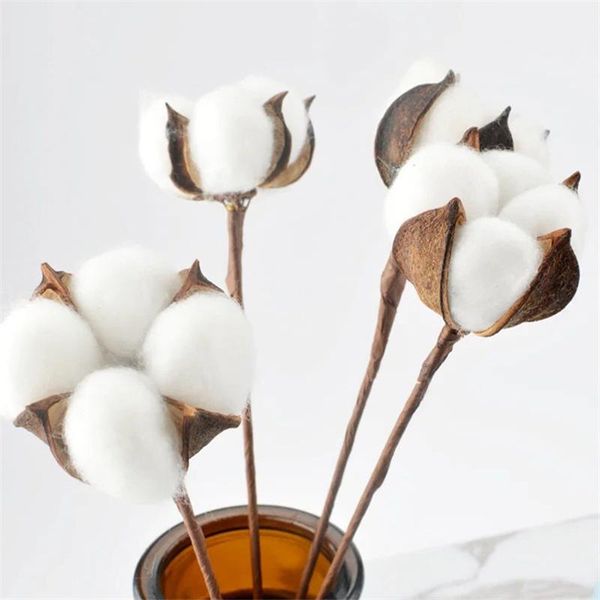 decorative flowers & wreaths 10pcs preserved cotton with iron branch bouquet pograph home deskoffice garden decoration mode
decorative flowers & wreaths 10pcs preserved cotton with iron branch bouquet pograph home deskoffice garden decoration mode