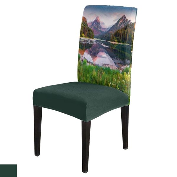 chair covers forest lake mountain meadow grass cover for dining room table chairs kitchen tablecloth home decor
chair covers forest lake mountain meadow grass cover for dining room table chairs kitchen tablecloth home decor