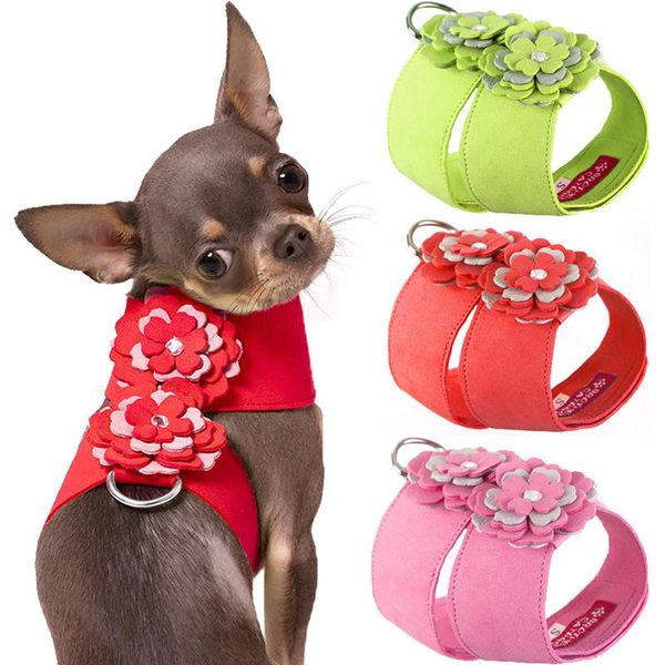 dog collars & leashes harness and leash set suede leather breathable protective pet puppy vest with flower collar for cats chihuahua
dog collars & leashes harness and leash set suede leather breathable protective pet puppy vest with flower collar for cats chihuahua