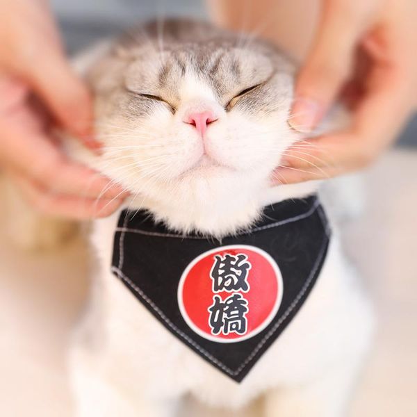 cat costumes dog saliva towel kitty cute bib pet square scarf set neck decoration triangle small 
cat costumes dog saliva towel kitty cute bib pet square scarf set neck decoration triangle small