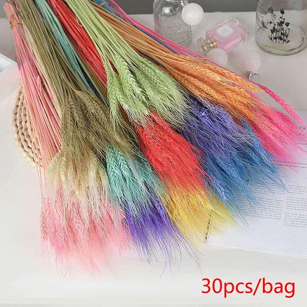 decorative flowers & wreaths 30pcs wheat ear flower decoration natural pampas tail grass dried for wedding party diy craft scrapbook
decorative flowers & wreaths 30pcs wheat ear flower decoration natural pampas tail grass dried for wedding party diy craft scrapbook
