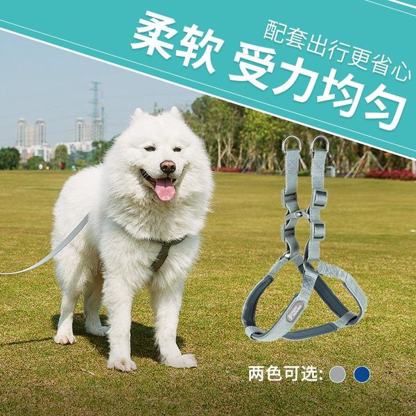 dog collars & leashes vehicle car pet seat belt puppy seatbelt harness lead clip supplies safety lever auto traction products
dog collars & leashes vehicle car pet seat belt puppy seatbelt harness lead clip supplies safety lever auto traction products