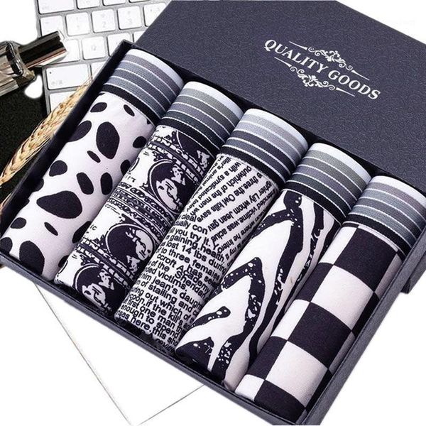underpants 5pcs men underwear boxer shorts pure cotton breathable xl young boys, Black;white
underpants 5pcs men underwear boxer shorts pure cotton breathable xl young boys, Black;white