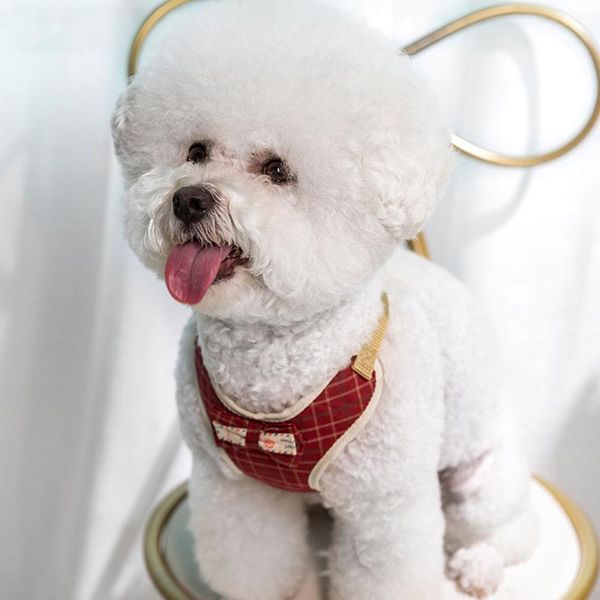 dog collars & leashes hand holding rope pet vest-style chest strap korean-style small cat supplies
dog collars & leashes hand holding rope pet vest-style chest strap korean-style small cat supplies
