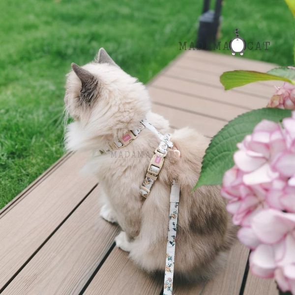 cat collars & leads dog adjustable harness vest walking lead leash for puppy dogs collar polyester small medium accessories
cat collars & leads dog adjustable harness vest walking lead leash for puppy dogs collar polyester small medium accessories