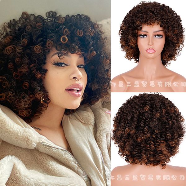 hairpiece small coil short black brown two color explosion chemical fiber high temperature silk wig head cover
hairpiece small coil short black brown two color explosion chemical fiber high temperature silk wig head cover