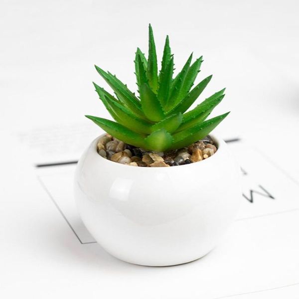 decorative flowers & wreaths fashion artificial plastic succulents everlasting multi-style plant for garden
decorative flowers & wreaths fashion artificial plastic succulents everlasting multi-style plant for garden