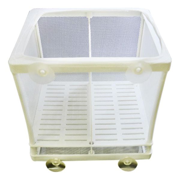 aquariums fish breeding incubator net hanging hatchery isolation box for aquarium accessory
aquariums fish breeding incubator net hanging hatchery isolation box for aquarium accessory