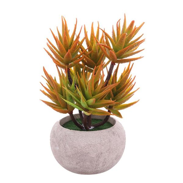 decorative flowers & wreaths artificial plants aloe vera head bonsai ball faux succulents plastic leaf small tree office decoration pulp bas
decorative flowers & wreaths artificial plants aloe vera head bonsai ball faux succulents plastic leaf small tree office decoration pulp bas