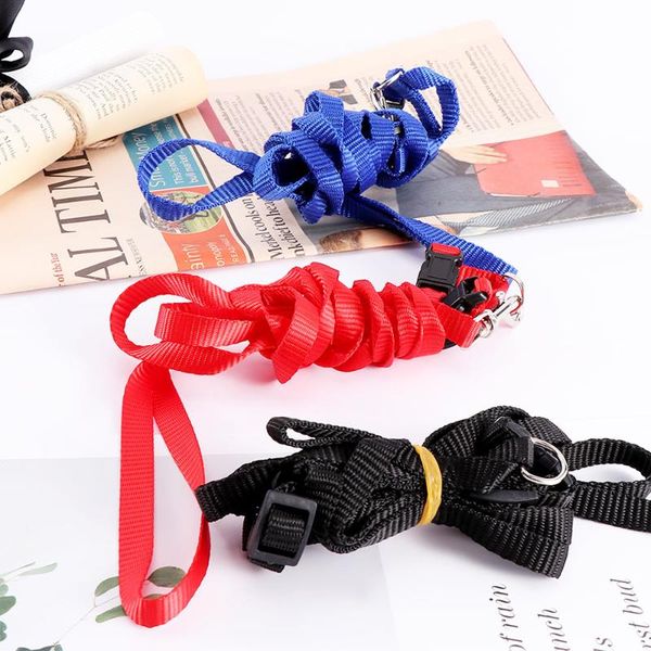 dog collars & leashes pet car puppy safety belt nylon pets cat harness for kitten security leash adjustable
dog collars & leashes pet car puppy safety belt nylon pets cat harness for kitten security leash adjustable