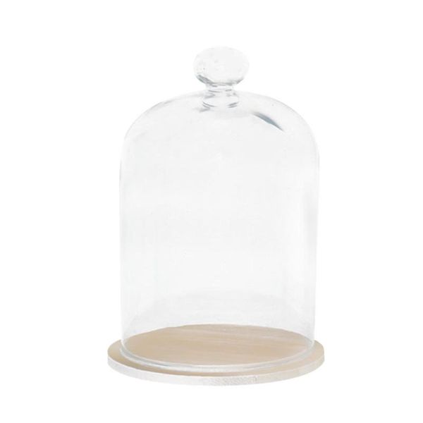 clear flower glass cover transparent dried diy led lights display candle dust craft birthday gift vases
clear flower glass cover transparent dried diy led lights display candle dust craft birthday gift vases