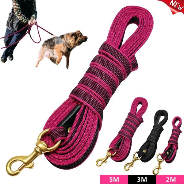 long dog tracking leash non-slip nylon training leads walking 2m 3m 5m for medium large dogs heavy duty collars & leashes
long dog tracking leash non-slip nylon training leads walking 2m 3m 5m for medium large dogs heavy duty collars & leashes