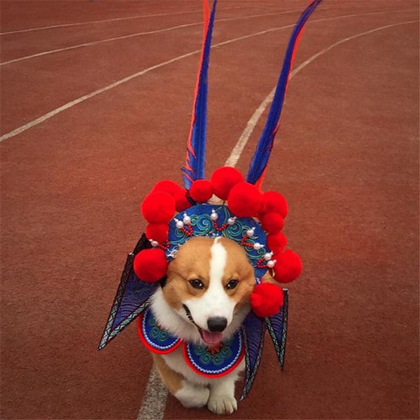 dog apparel cute pet halloween headdress transformation outfit for small cats dogs adjustable cosplay accessories headwears costumes #
dog apparel cute pet halloween headdress transformation outfit for small cats dogs adjustable cosplay accessories headwears costumes #