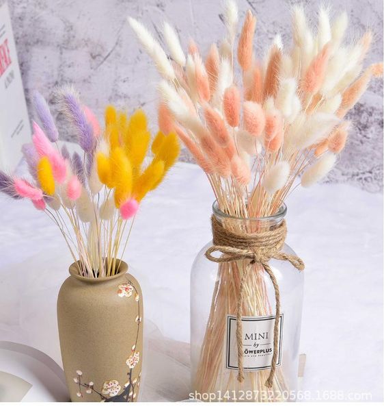 decorative flowers & wreaths 30pcs cake decor natural dried white artificial colorful fake tail grass bouquet long bunches
decorative flowers & wreaths 30pcs cake decor natural dried white artificial colorful fake tail grass bouquet long bunches