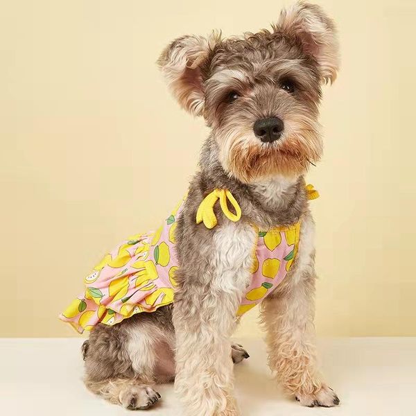 cat costumes cute pet sling skirt fresh fruit print dog clothes small dress fashion
cat costumes cute pet sling skirt fresh fruit print dog clothes small dress fashion