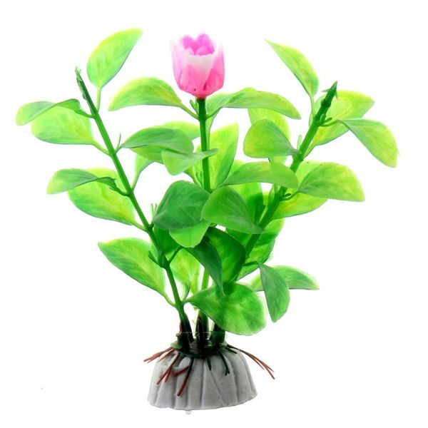 decorations aquarium decoration plants aquatic fish tank construction of water grass 10cm
decorations aquarium decoration plants aquatic fish tank construction of water grass 10cm