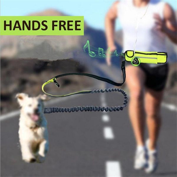 dog collars & leashes safety reflective pet dogs hands for big and small chihuahua animals running leash long nylon rope leads#ss
dog collars & leashes safety reflective pet dogs hands for big and small chihuahua animals running leash long nylon rope leads#ss