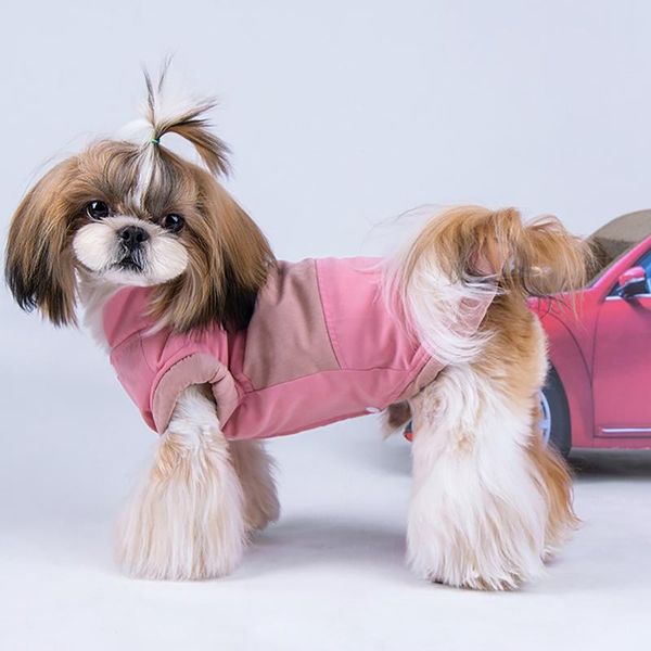 dog apparel pet clothes winter jackets suit warm fleece vest velet motorcycle waistcoat coat clothing coats pets supplies 2021
dog apparel pet clothes winter jackets suit warm fleece vest velet motorcycle waistcoat coat clothing coats pets supplies 2021