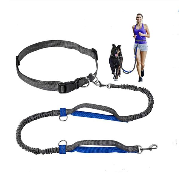 dog leash running elasticity hand y pet products dogs harness collar jogging lead and adjustable waist rope collars & leashes
dog leash running elasticity hand y pet products dogs harness collar jogging lead and adjustable waist rope collars & leashes