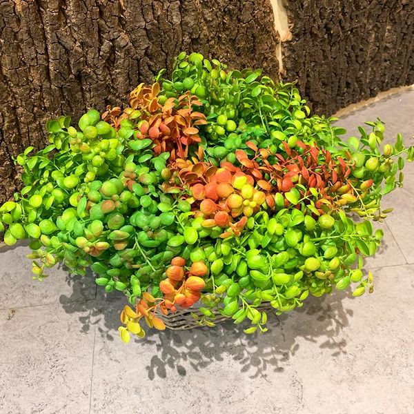 decorative flowers & wreaths artificial plastic plants simulate the flower bouquet of qianyecao family garden party decoration fake plant bu
decorative flowers & wreaths artificial plastic plants simulate the flower bouquet of qianyecao family garden party decoration fake plant bu