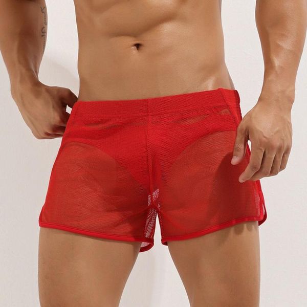 underpants 2021 summer mesh men underwear needless transparent boxer shorts ultra dunne sheer breathing comfortable boxers, Black;white
underpants 2021 summer mesh men underwear needless transparent boxer shorts ultra dunne sheer breathing comfortable boxers, Black;white