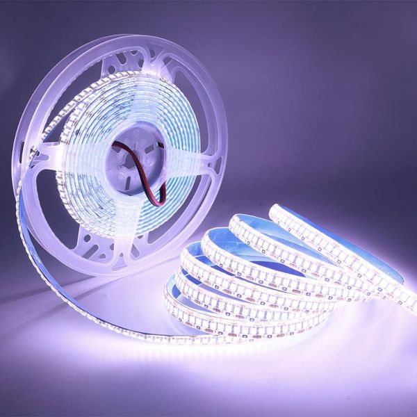 strips 5m smd 2835 led strip light dc 12v 480led 240led tape flexible lights indoor lingting for home decoration waterproof ip67
strips 5m smd 2835 led strip light dc 12v 480led 240led tape flexible lights indoor lingting for home decoration waterproof ip67