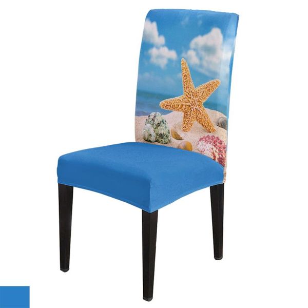 chair covers seashore beach starfish sand sea cover for dining room table chairs kitchen tablecloth home decor
chair covers seashore beach starfish sand sea cover for dining room table chairs kitchen tablecloth home decor