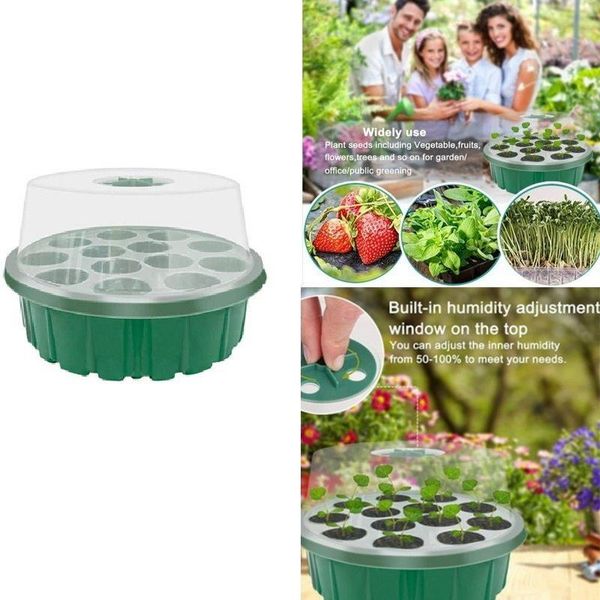 hole seedling trays seed starter plant flower grow box propagation for gardening starting germination planters & pots
hole seedling trays seed starter plant flower grow box propagation for gardening starting germination planters & pots