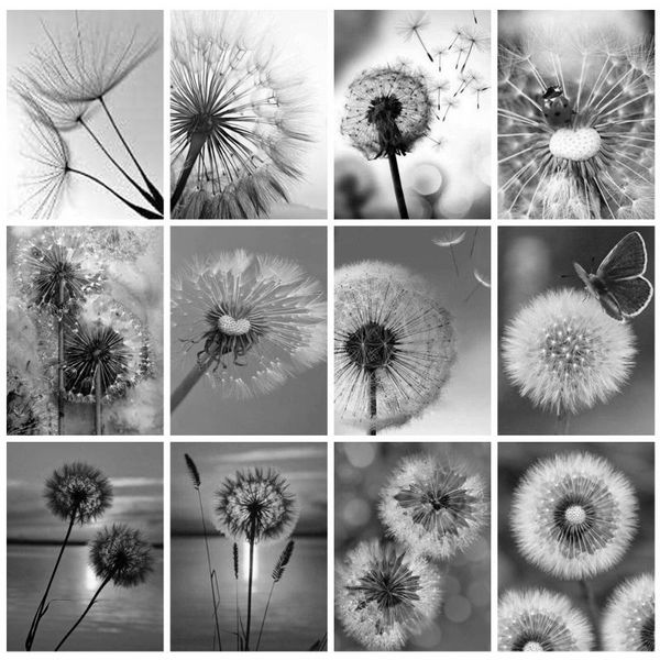 diamond painting huacan full drill dandelion decorations for home mosaic flowers embroidery black and white wall decoration
diamond painting huacan full drill dandelion decorations for home mosaic flowers embroidery black and white wall decoration