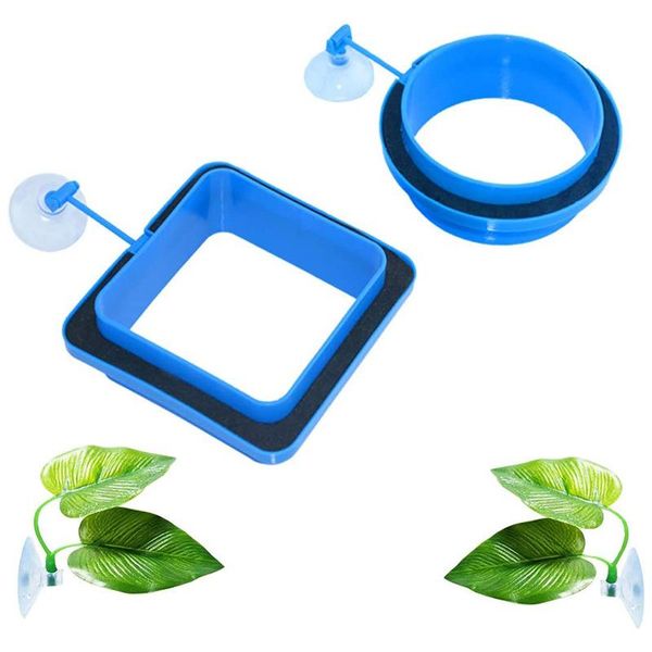 fighting bed leaf hammock fish feeding ring set, pad floating feeder 4-piece set decorations
fighting bed leaf hammock fish feeding ring set, pad floating feeder 4-piece set decorations