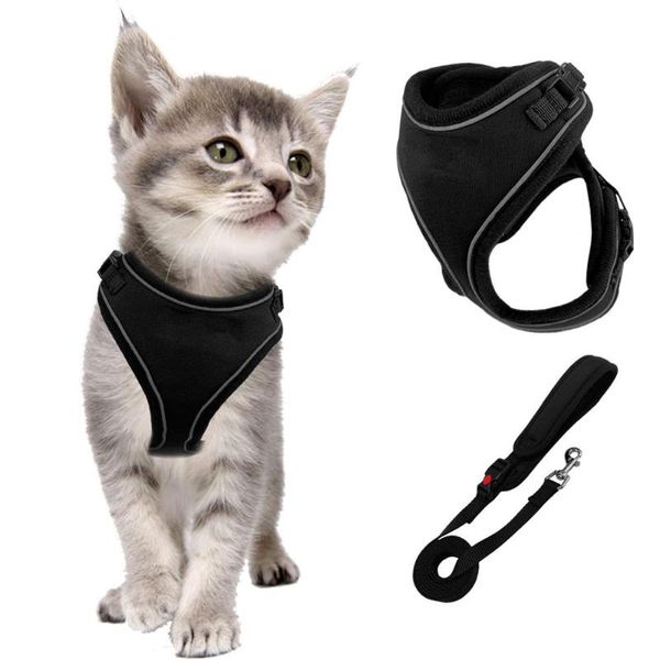 cat collars & leads harness and leash set,no pull escape proof vest harness,easy on jacket for walking running
cat collars & leads harness and leash set,no pull escape proof vest harness,easy on jacket for walking running