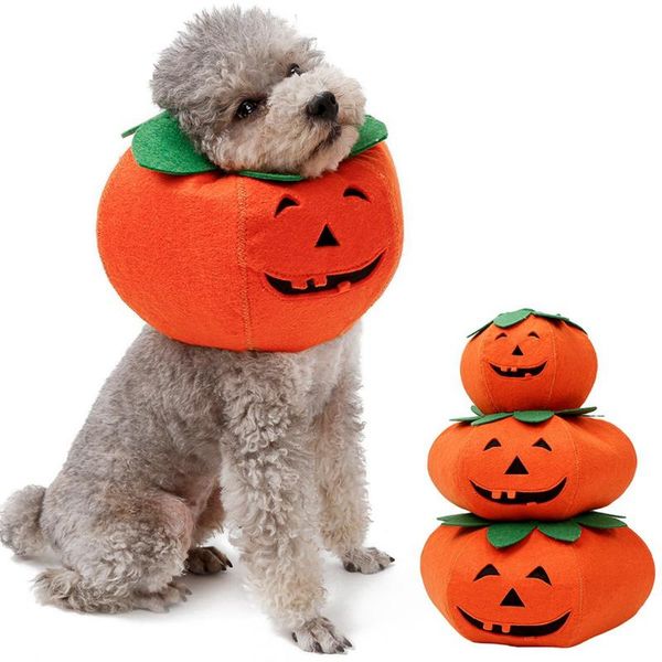 dog collars & leashes elizabeth collar cats dogs recovery protector for wound funny halloween pumpkin dress up multifunctional neckerchief
dog collars & leashes elizabeth collar cats dogs recovery protector for wound funny halloween pumpkin dress up multifunctional neckerchief