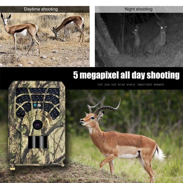 hunting cameras camera 5mp 720p 1080p waterproof wildcamera wild surveillance monitor infrared night version po tracking
hunting cameras camera 5mp 720p 1080p waterproof wildcamera wild surveillance monitor infrared night version po tracking