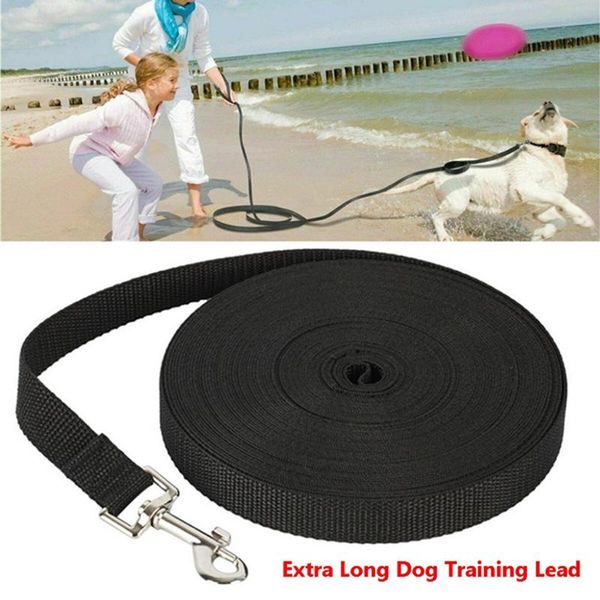 dog leash for small medium large dogs pet puppy walking training lead rope big nylon long leashe collars & leashes
dog leash for small medium large dogs pet puppy walking training lead rope big nylon long leashe collars & leashes
