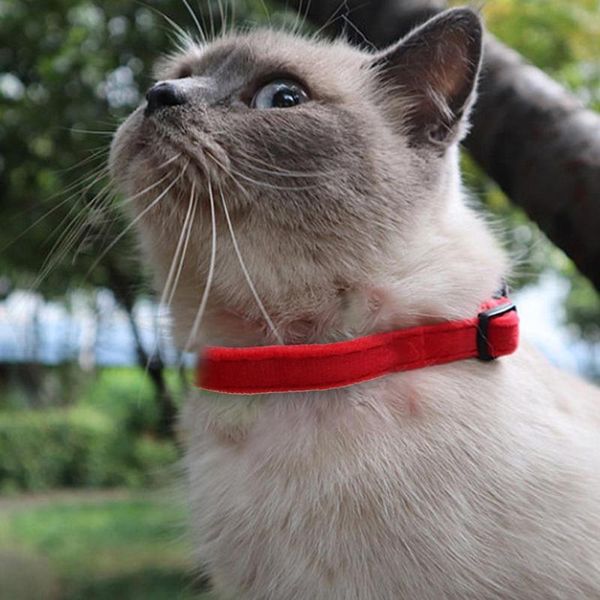 cat collars & leads dog collar fashion adjustable bowknot design pet necklace for decoration accessories cats with bell comfortable
cat collars & leads dog collar fashion adjustable bowknot design pet necklace for decoration accessories cats with bell comfortable