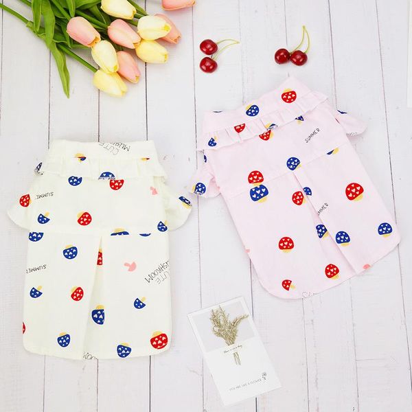 cute dog clothes shirt mushroom print pet clothing for small dogs outfits spring summer fashion chihuahua trendy ropa para perro apparel
cute dog clothes shirt mushroom print pet clothing for small dogs outfits spring summer fashion chihuahua trendy ropa para perro apparel