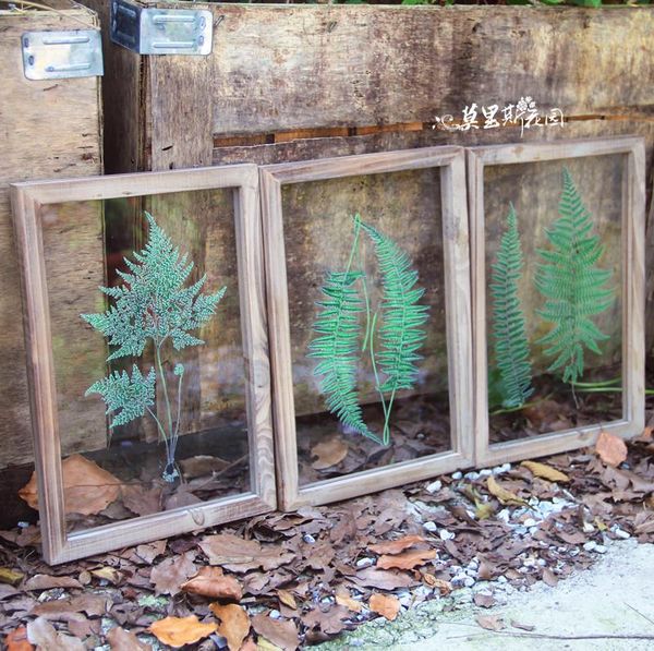 frames morris garden foreign trade tail single grocery wall decorative hangings pvc solid wood frame plant painting
frames morris garden foreign trade tail single grocery wall decorative hangings pvc solid wood frame plant painting