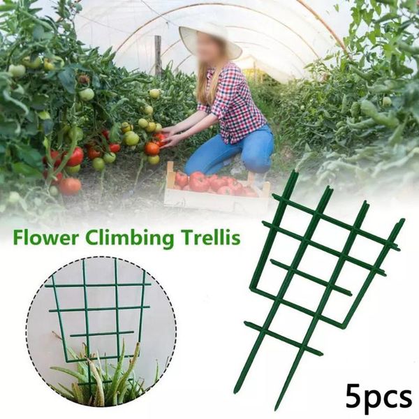 other garden supplies 30.5*16.5cm plant climbing trellis flower holder invisible vine bracket
other garden supplies 30.5*16.5cm plant climbing trellis flower holder invisible vine bracket