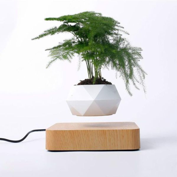home desk decor levitating air bonsai pot rotation flower planters magnetic levitation suspension floating potted plant & pots
home desk decor levitating air bonsai pot rotation flower planters magnetic levitation suspension floating potted plant & pots