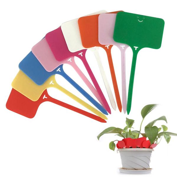 100pcs garden t-type plant markers label pot planter vegetable thickened colorful labels waterproof plastic tag other supplies
100pcs garden t-type plant markers label pot planter vegetable thickened colorful labels waterproof plastic tag other supplies