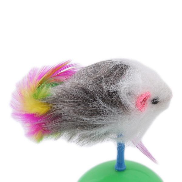 durable pet cat toys favorite fur mouse tumbler plastic balls for cats dogs play speelgoed kat interactive
durable pet cat toys favorite fur mouse tumbler plastic balls for cats dogs play speelgoed kat interactive